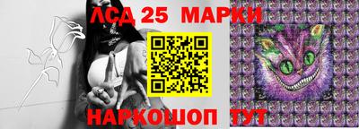 МДПВ Кандалакша
