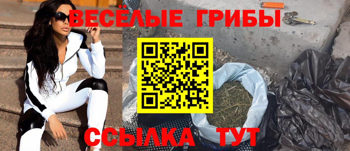 Шахты  Галлюциногенные грибы Psilocybe  Галлюциногенные грибы MAGIC MUSHROOMS  купить  сайты  Вход с VPN 