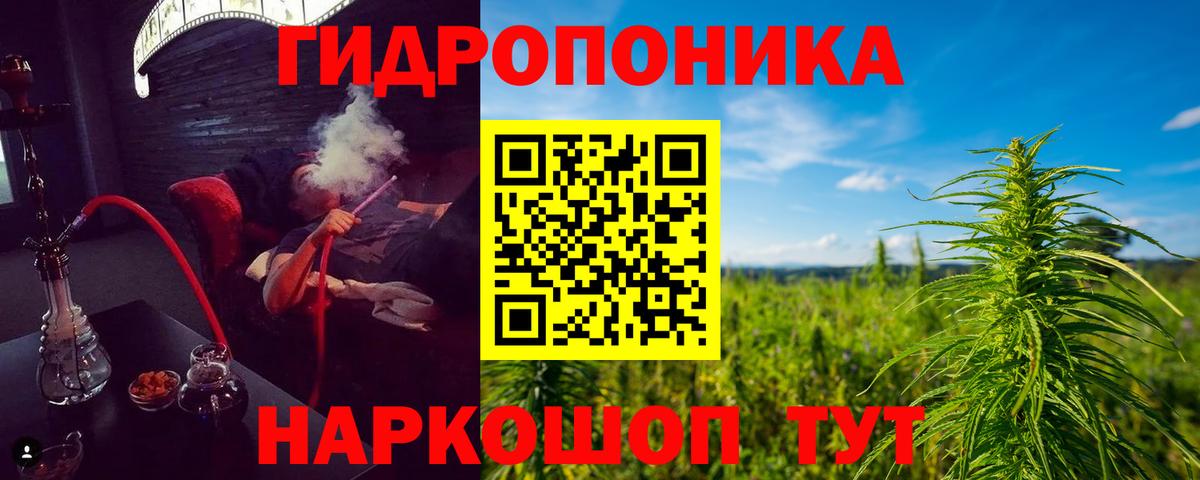 Шишки марихуана гибрид Шахты