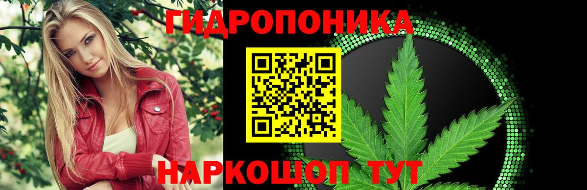 Шахты  Бошки Шишки планчик  Марихуана ГИДРОПОН  Шишки марихуана OG Kush  Вход с VPN 